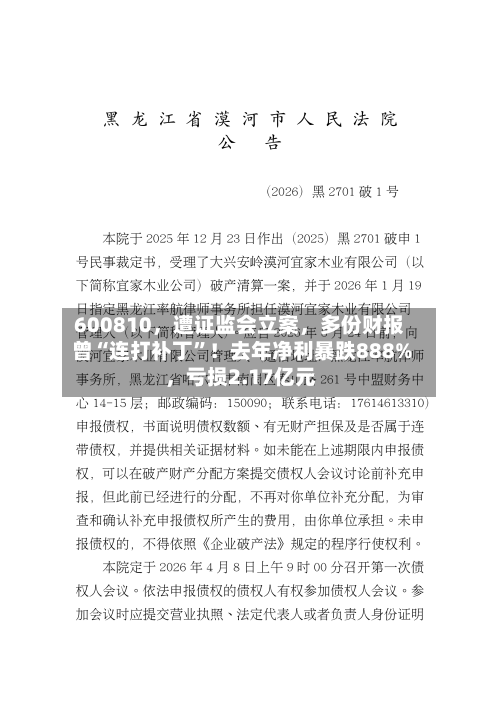 600810，遭证监会立案	，多份财报曾“连打补丁”！去年净利暴跌888%，亏损2.17亿元-第1张图片
