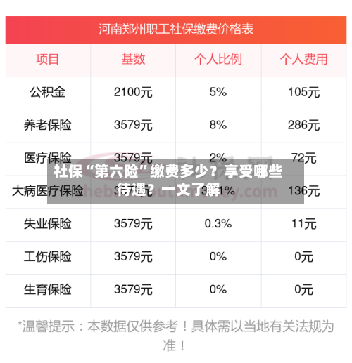 社保“第六险”缴费多少？享受哪些待遇？一文了解-第2张图片