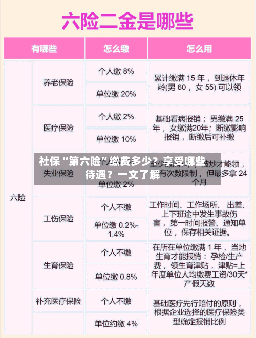 社保“第六险	”缴费多少？享受哪些待遇？一文了解-第1张图片