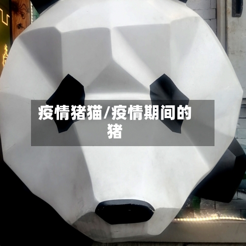 疫情猪猫/疫情期间的猪-第1张图片