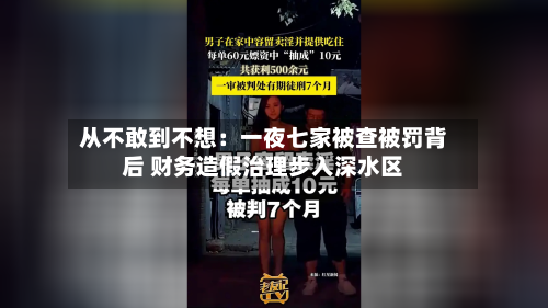 从不敢到不想：一夜七家被查被罚背后 财务造假治理步入深水区-第1张图片