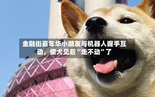 金融街嘉年华小朋友与机器人握手互动，柴犬见后“走不动”了-第3张图片
