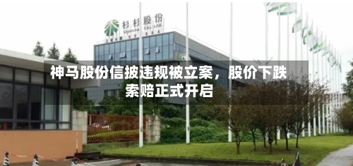 神马股份信披违规被立案，股价下跌索赔正式开启-第2张图片