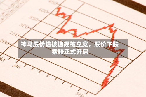 神马股份信披违规被立案	，股价下跌索赔正式开启-第3张图片