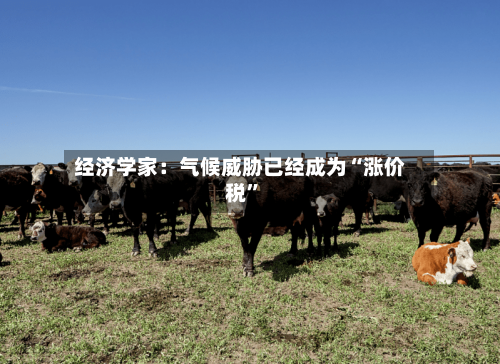 经济学家：气候威胁已经成为“涨价税	”-第3张图片
