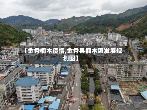 【金秀桐木疫情,金秀县桐木镇发展规划图】-第1张图片