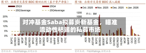 对冲基金Saba拟募资新基金，瞄准流动性枯竭的私募市场-第2张图片