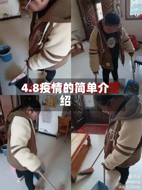 4.8疫情的简单介绍-第1张图片