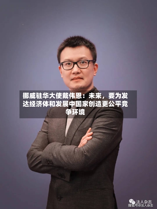 挪威驻华大使戴伟恩：未来，要为发达经济体和发展中国家创造更公平竞争环境-第2张图片