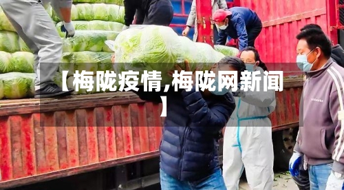 【梅陇疫情,梅陇网新闻】-第1张图片