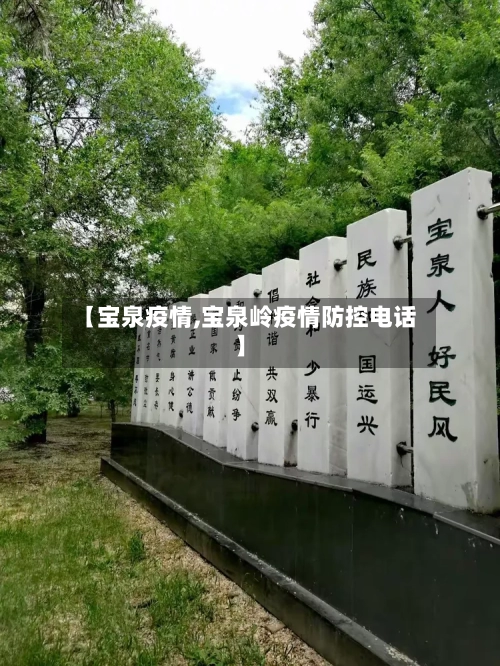 【宝泉疫情,宝泉岭疫情防控电话】-第1张图片