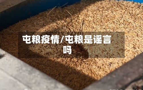 屯粮疫情/屯粮是谣言吗-第1张图片