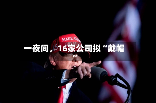 一夜间，16家公司拟“戴帽”-第3张图片