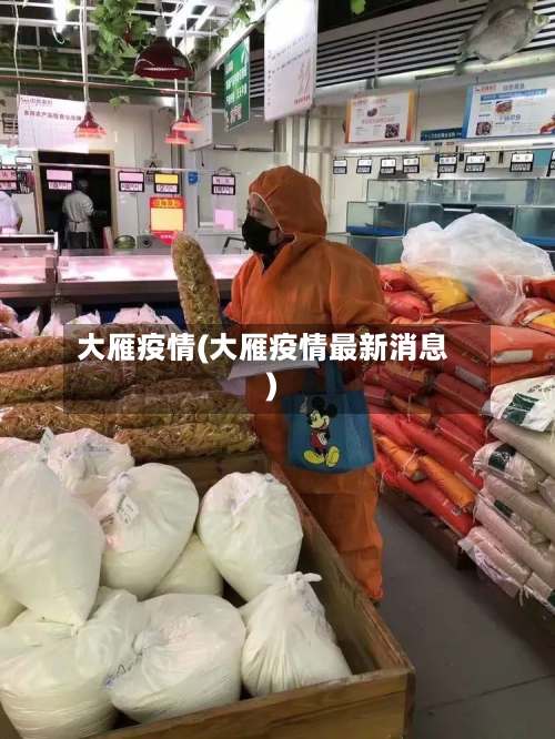 大雁疫情(大雁疫情最新消息)-第1张图片