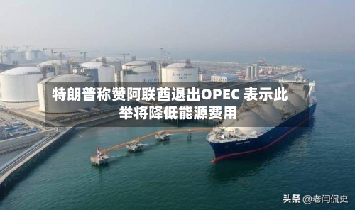 特朗普称赞阿联酋退出OPEC 表示此举将降低能源费用-第1张图片