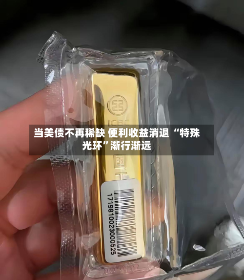 当美债不再稀缺 便利收益消退 “特殊光环”渐行渐远-第1张图片