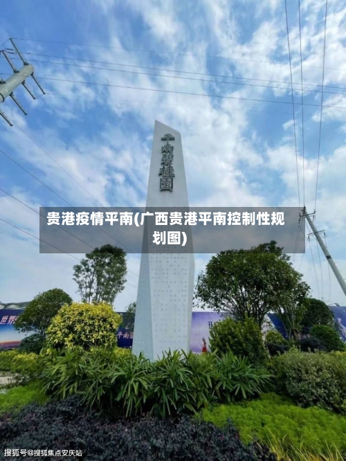 贵港疫情平南(广西贵港平南控制性规划图)-第1张图片