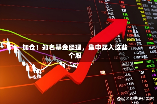 加仓！知名基金经理，集中买入这些个股-第1张图片