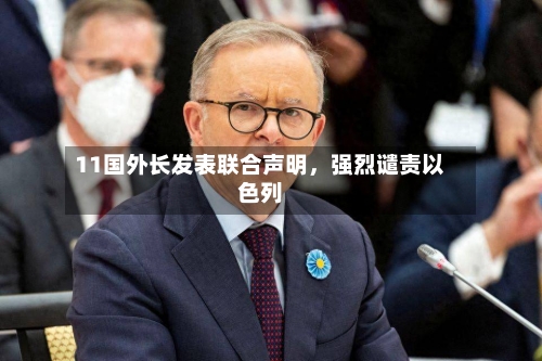 11国外长发表联合声明，强烈谴责以色列-第1张图片