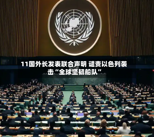 11国外长发表联合声明 谴责以色列袭击“全球坚韧船队”-第1张图片