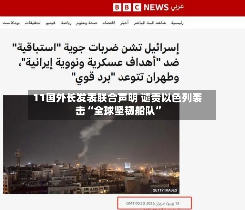11国外长发表联合声明 谴责以色列袭击“全球坚韧船队”-第2张图片