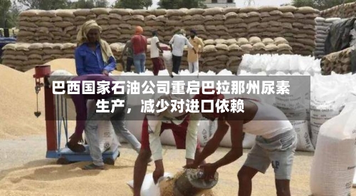 巴西国家石油公司重启巴拉那州尿素生产，减少对进口依赖-第2张图片