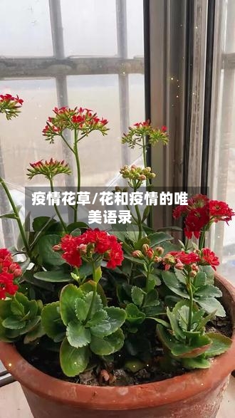 疫情花草/花和疫情的唯美语录-第1张图片