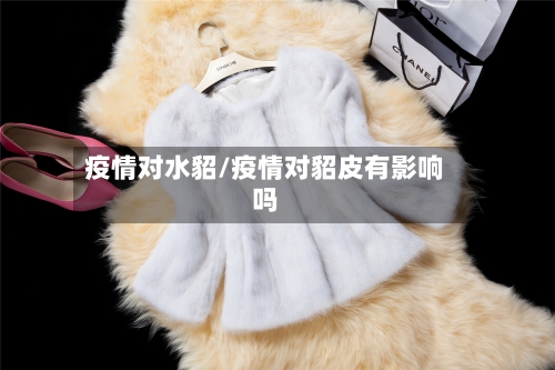 疫情对水貂/疫情对貂皮有影响吗-第1张图片
