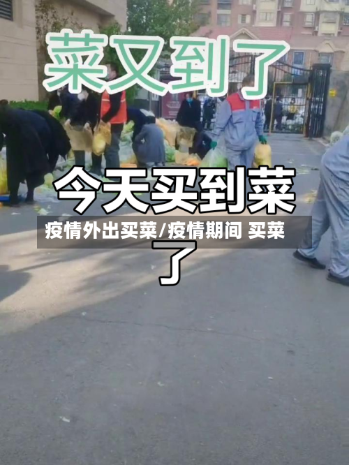 疫情外出买菜/疫情期间 买菜-第2张图片