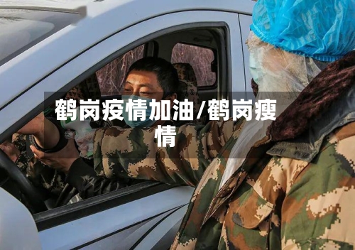 鹤岗疫情加油/鹤岗瘦情-第1张图片