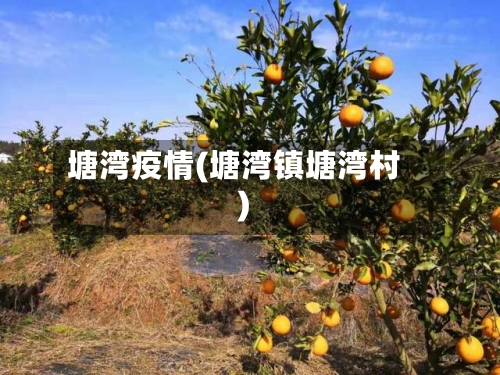 塘湾疫情(塘湾镇塘湾村)-第1张图片
