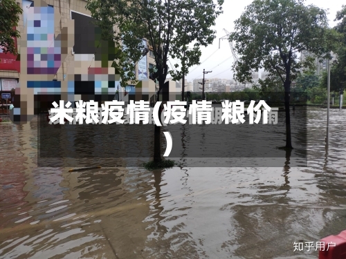 米粮疫情(疫情 粮价)-第1张图片