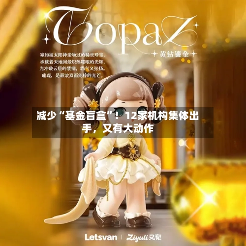 减少“基金盲盒”！12家机构集体出手	，又有大动作-第2张图片