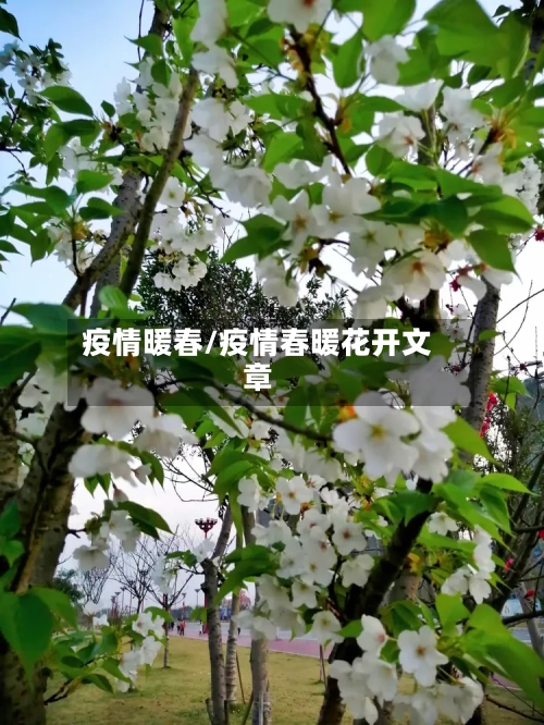 疫情暖春/疫情春暖花开文章-第1张图片