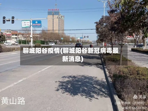 聊城阳谷疫情(聊城阳谷新冠病毒最新消息)-第2张图片