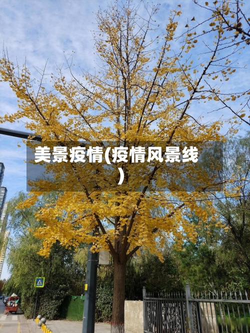 美景疫情(疫情风景线)-第1张图片