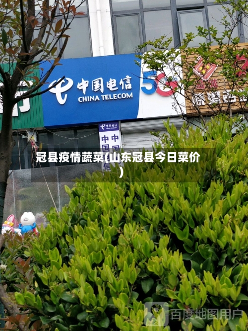 冠县疫情蔬菜(山东冠县今日菜价)-第2张图片