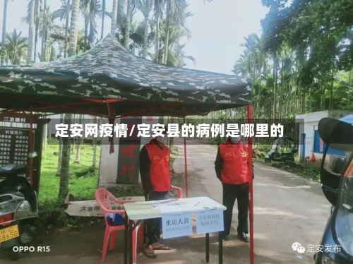 定安网疫情/定安县的病例是哪里的-第1张图片