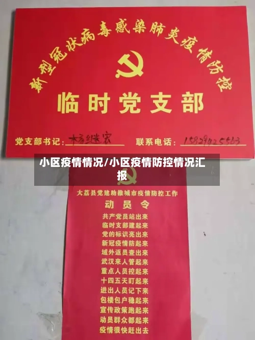 小区疫情情况/小区疫情防控情况汇报-第3张图片