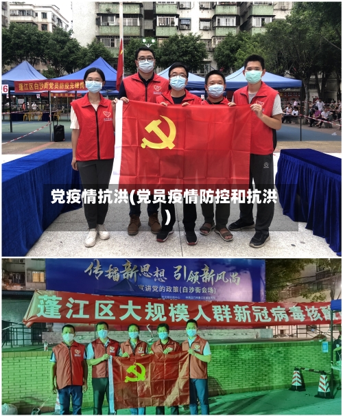 党疫情抗洪(党员疫情防控和抗洪)-第1张图片