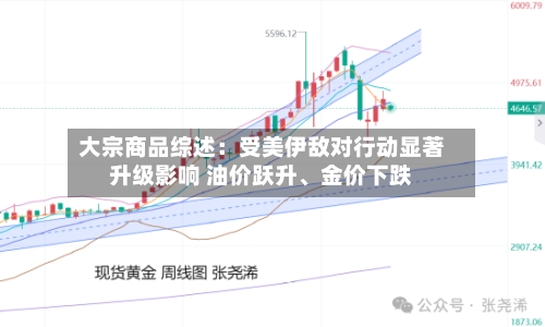 大宗商品综述：受美伊敌对行动显著升级影响 油价跃升	、金价下跌-第1张图片