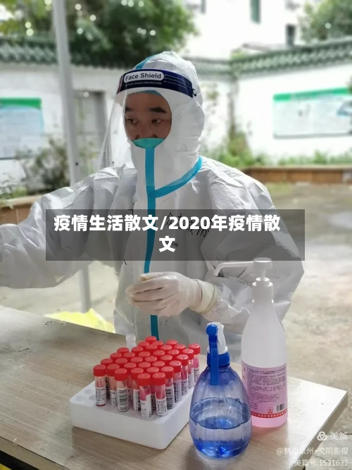 疫情生活散文/2020年疫情散文-第3张图片