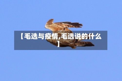 【毛选与疫情,毛选说的什么】-第1张图片
