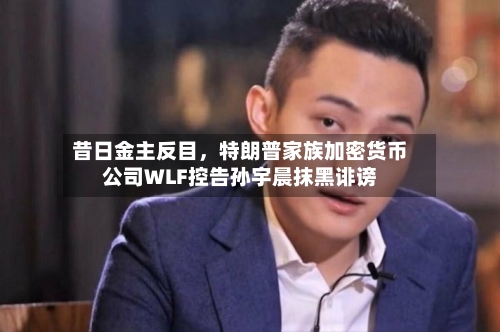 昔日金主反目	，特朗普家族加密货币公司WLF控告孙宇晨抹黑诽谤-第2张图片