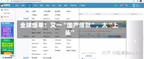 全球爆单！又一“国产爆款	”，太“上头”-第1张图片
