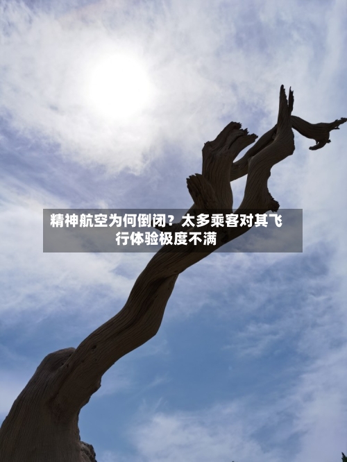 精神航空为何倒闭？太多乘客对其飞行体验极度不满-第2张图片