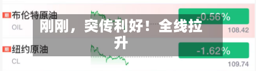 刚刚，突传利好！全线拉升-第2张图片