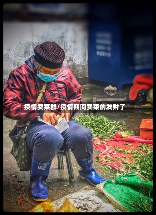 疫情卖菜群/疫情期间卖菜的发财了-第2张图片