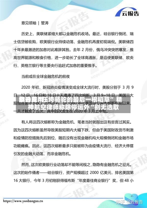 燃油费用飙升成“压垮骆驼的最后一根稻草” 精神航空律师称除停运外“别无选取	”-第1张图片