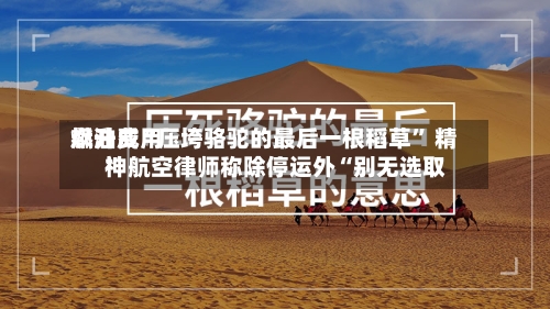 燃油费用飙升成“压垮骆驼的最后一根稻草	” 精神航空律师称除停运外“别无选取”-第2张图片